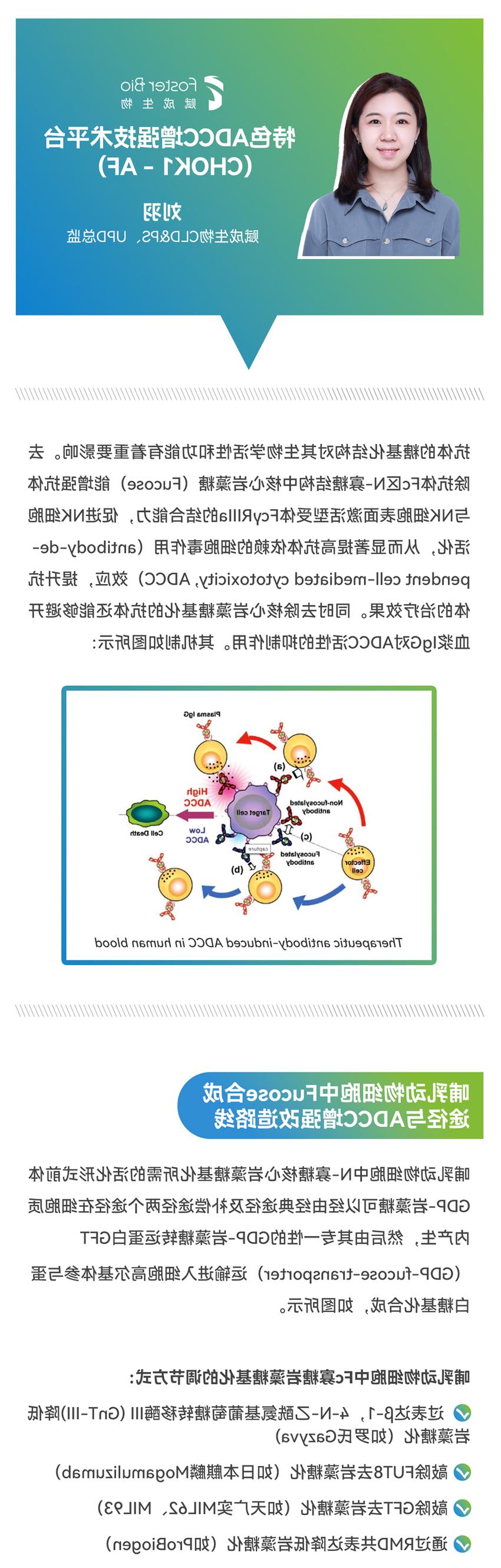 网站用-1.jpg