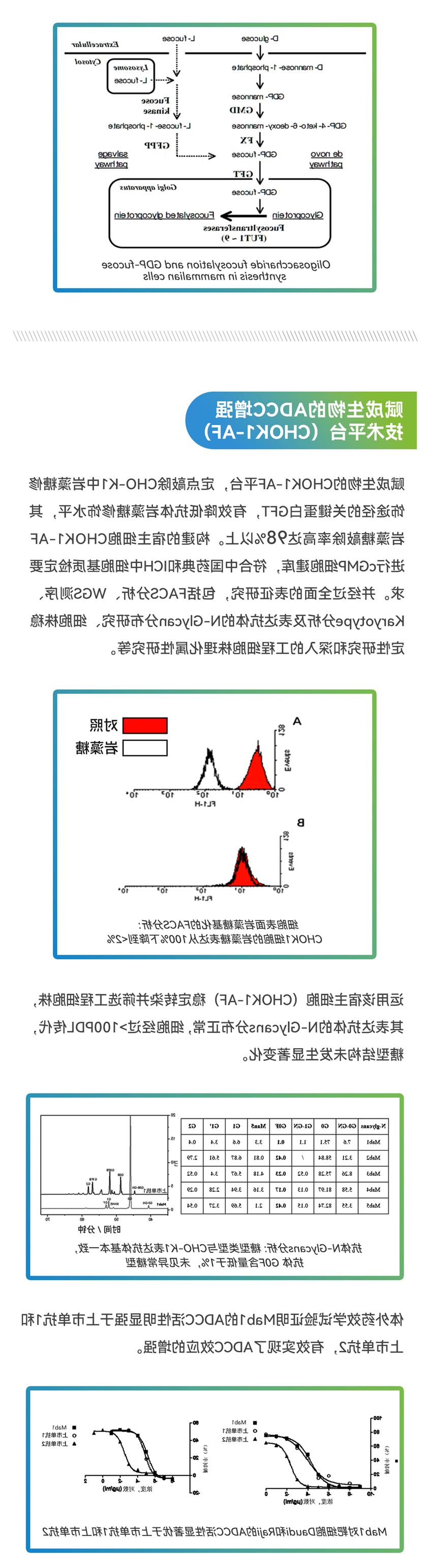 网站用-2.jpg